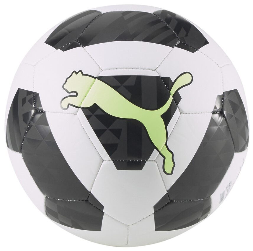 Puma king ball best sale